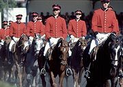 Reiter in Uniformen bei der Celler Hengstparade
