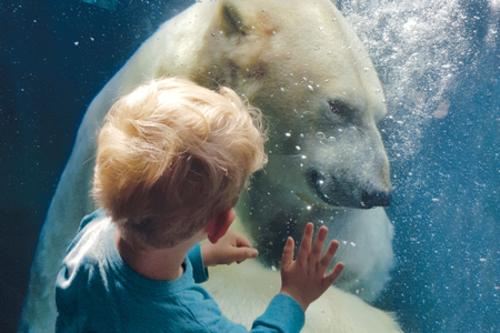 Erlebnis-Zoo Hannover