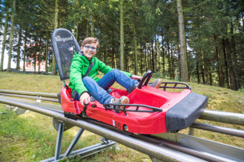 Bocksbergbob im Harz